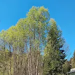 Chalé W Dolinie Ciszy Pieniny *