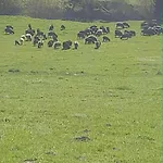 Chalé W Dolinie Ciszy Pieniny *