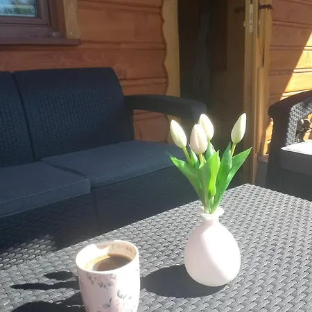 Σαλέ W Dolinie Ciszy Pieniny Grywald